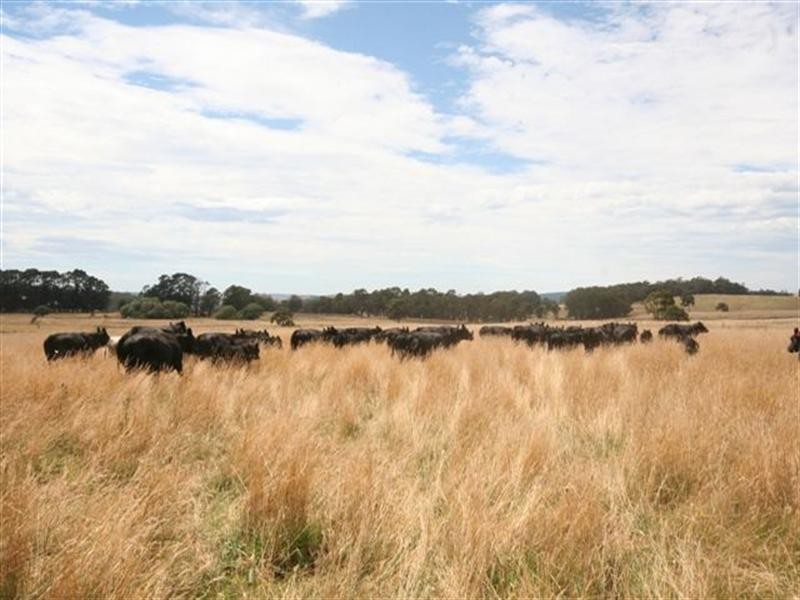 Shooters Hill NSW 2787