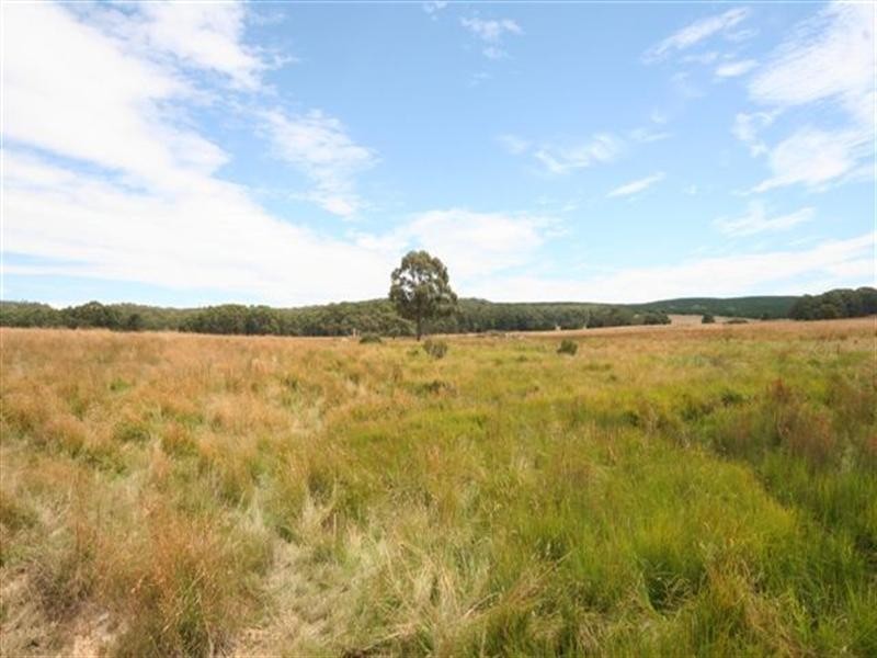 Shooters Hill NSW 2787