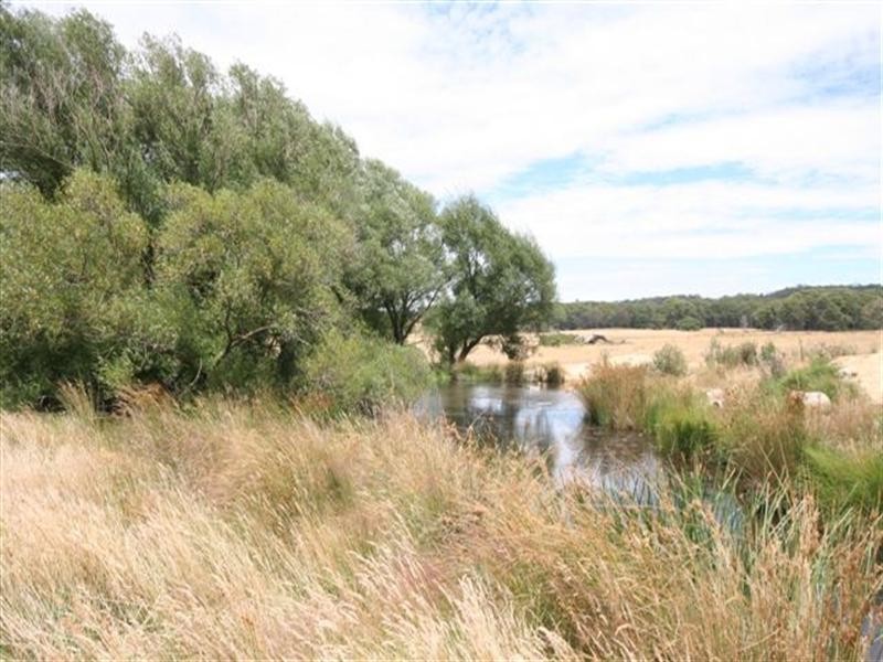 Shooters Hill NSW 2787