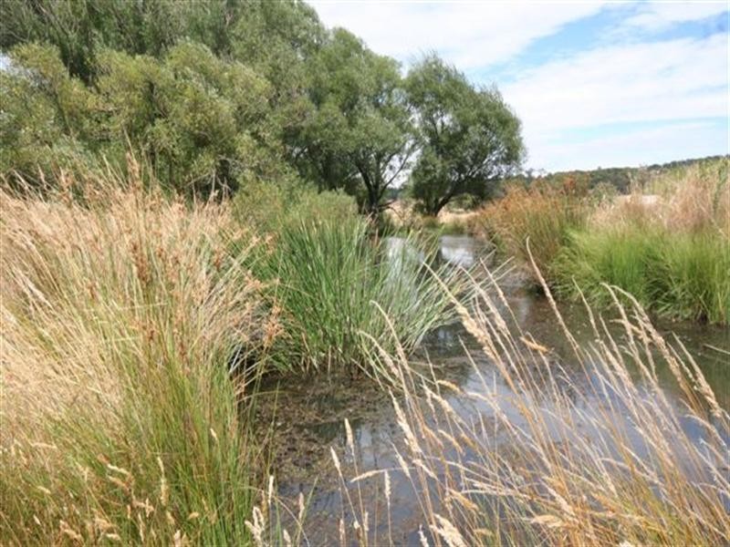 Shooters Hill NSW 2787