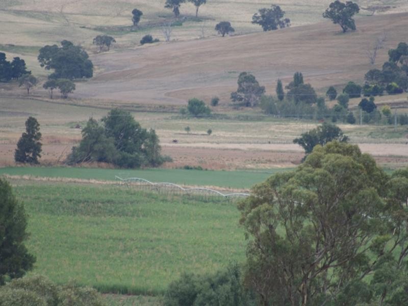 287 River Road, O’connell NSW 2795