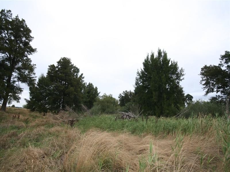 287 River Road, O’connell NSW 2795