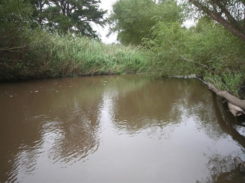 287 River Road, O’connell NSW 2795