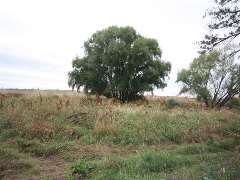 287 River Road, O’connell NSW 2795