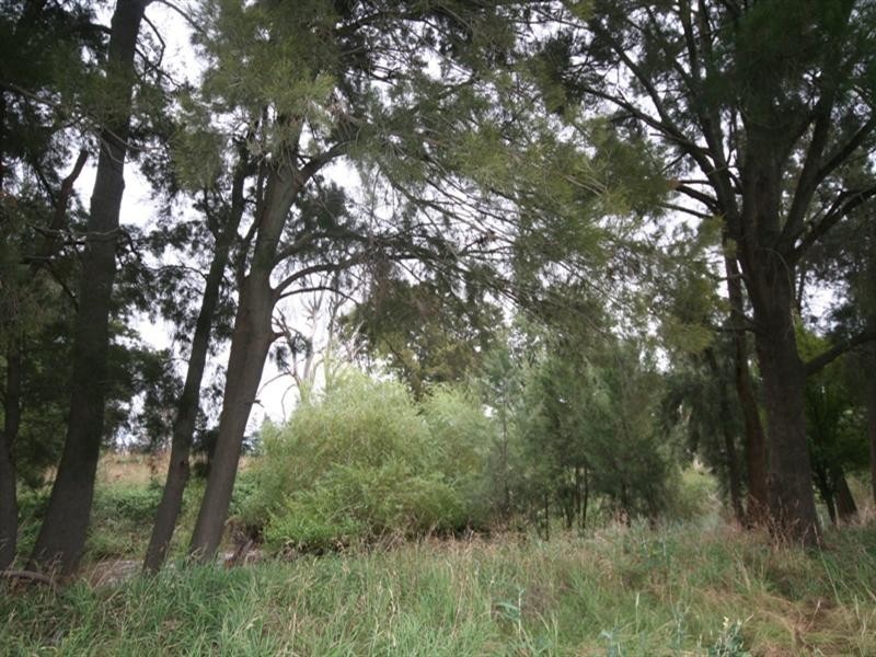 287 River Road, O’connell NSW 2795