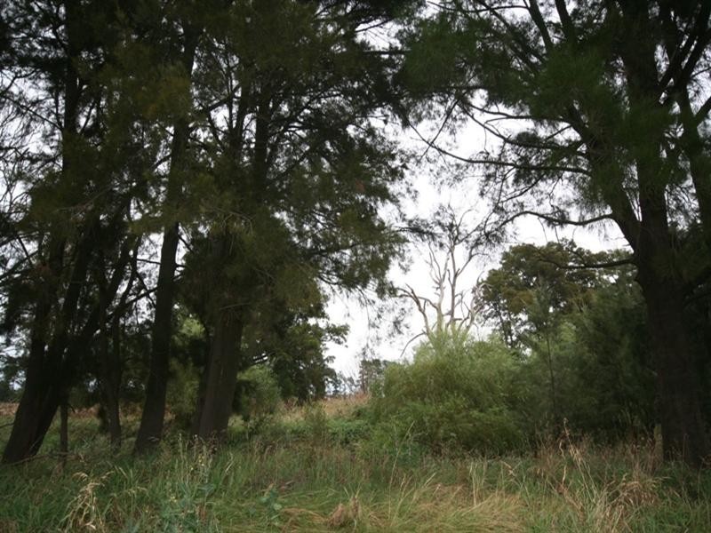 287 River Road, O’connell NSW 2795