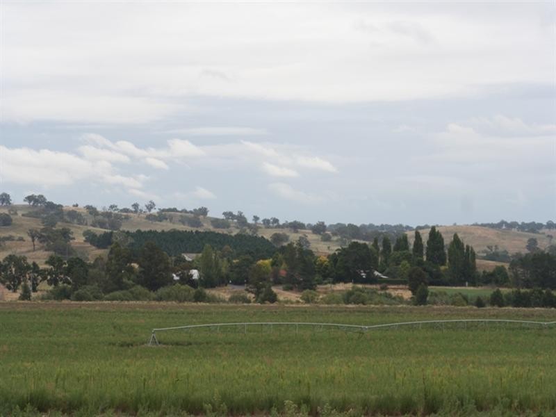 287 River Road, O’connell NSW 2795