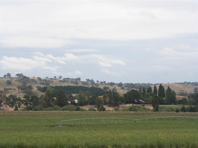 287 River Road, O’connell NSW 2795