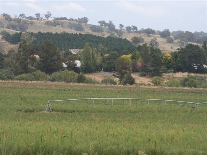 287 River Road, O’connell NSW 2795