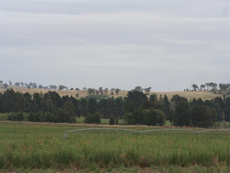 287 River Road, O’connell NSW 2795