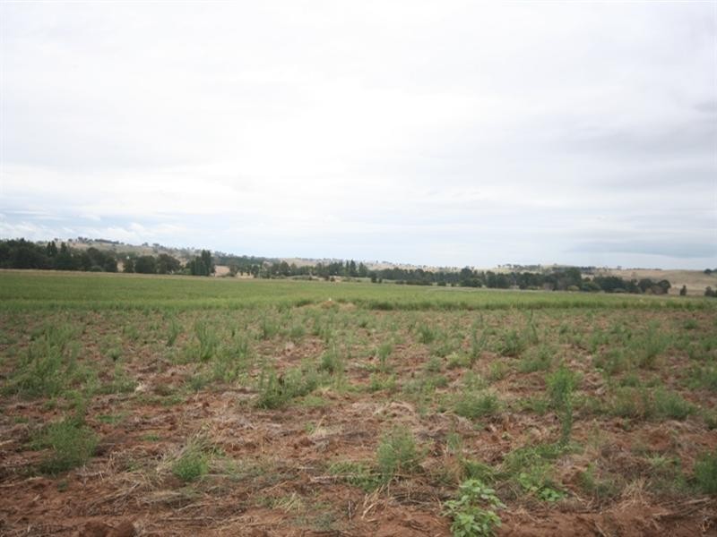 287 River Road, O’connell NSW 2795