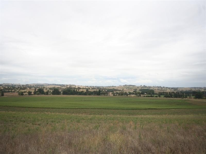 287 River Road, O’connell NSW 2795