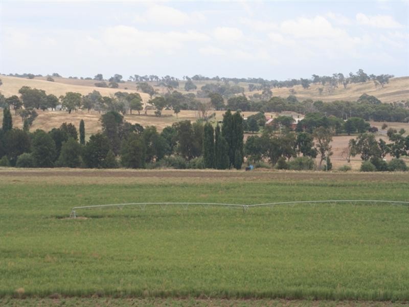 287 River Road, O’connell NSW 2795