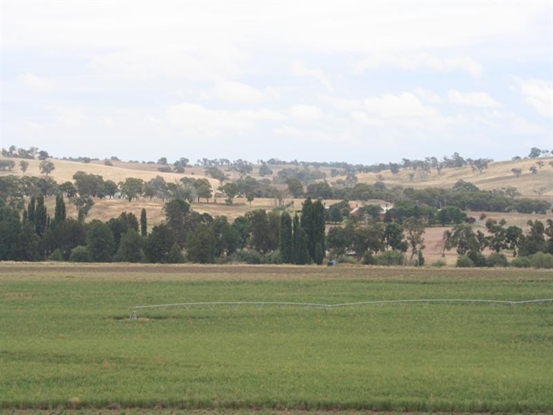 287 River Road, O’connell NSW 2795