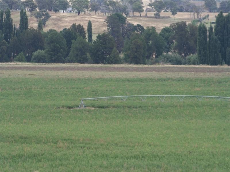 287 River Road, O’connell NSW 2795