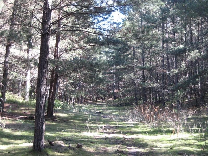 Wolgan Valley NSW 2790