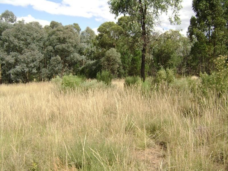 8 White Horse Road, Cowra NSW 2794
