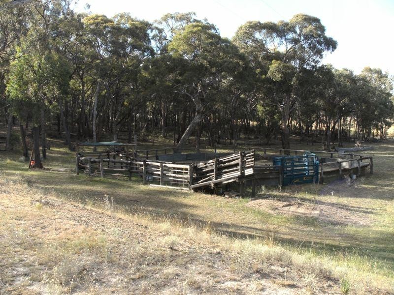 3917 Freemantle Road, Bathurst NSW 2795