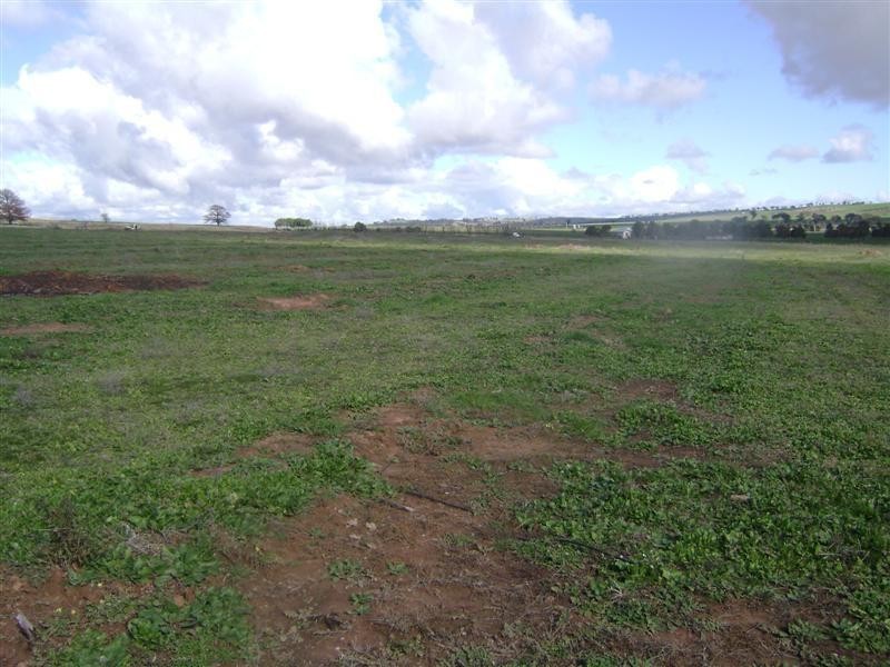 Lot 1 Wirrimah Road, Wirrimah NSW 2803