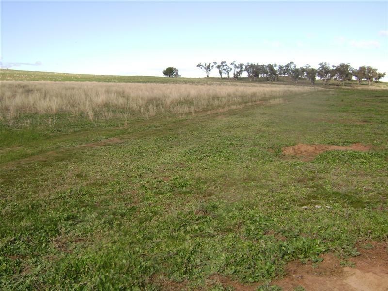 Lot 1 Wirrimah Road, Wirrimah NSW 2803