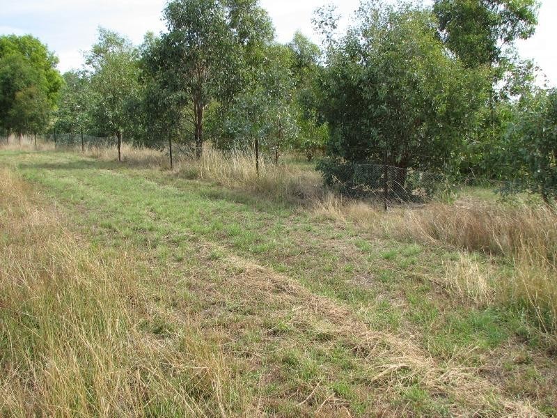 Lot 1 Peter Whitty Road, Darbys Falls NSW 2793