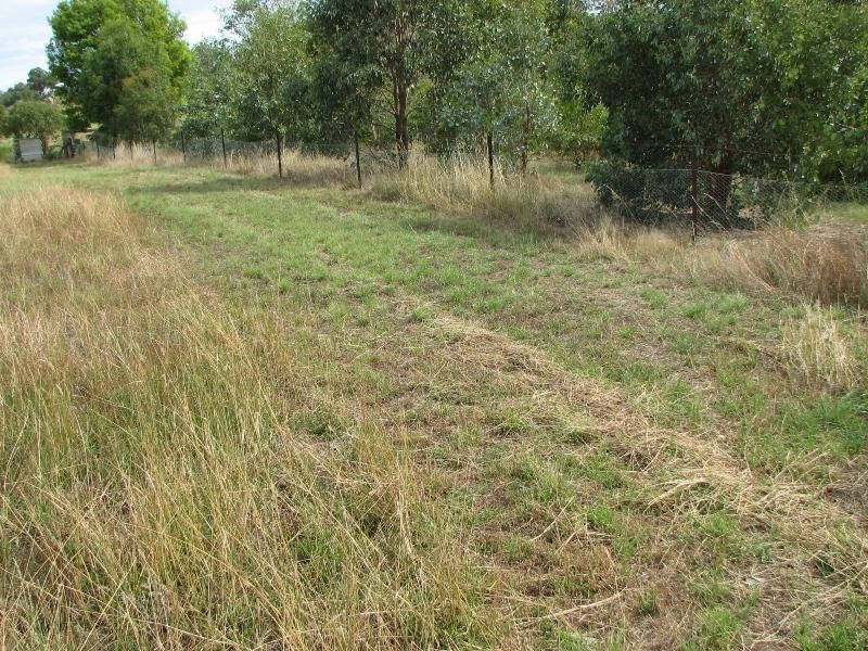 Lot 1 Peter Whitty Road, Darbys Falls NSW 2793
