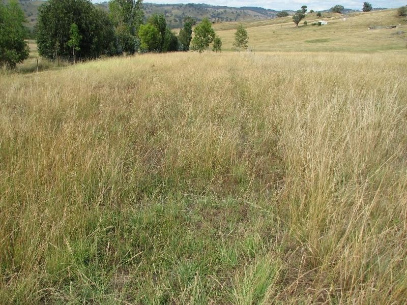 Lot 1 Peter Whitty Road, Darbys Falls NSW 2793