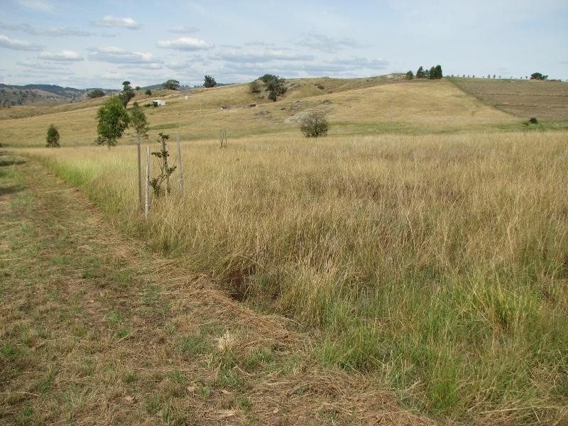 Lot 1 Peter Whitty Road, Darbys Falls NSW 2793