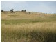 Lot 1 Peter Whitty Road, Darbys Falls NSW 2793