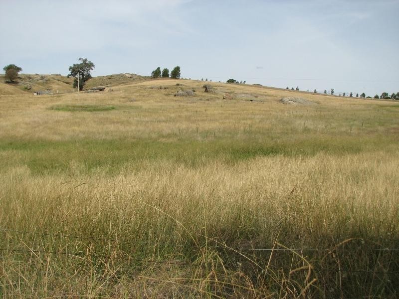 Lot 1 Peter Whitty Road, Darbys Falls NSW 2793