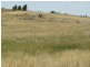 Lot 1 Peter Whitty Road, Darbys Falls NSW 2793