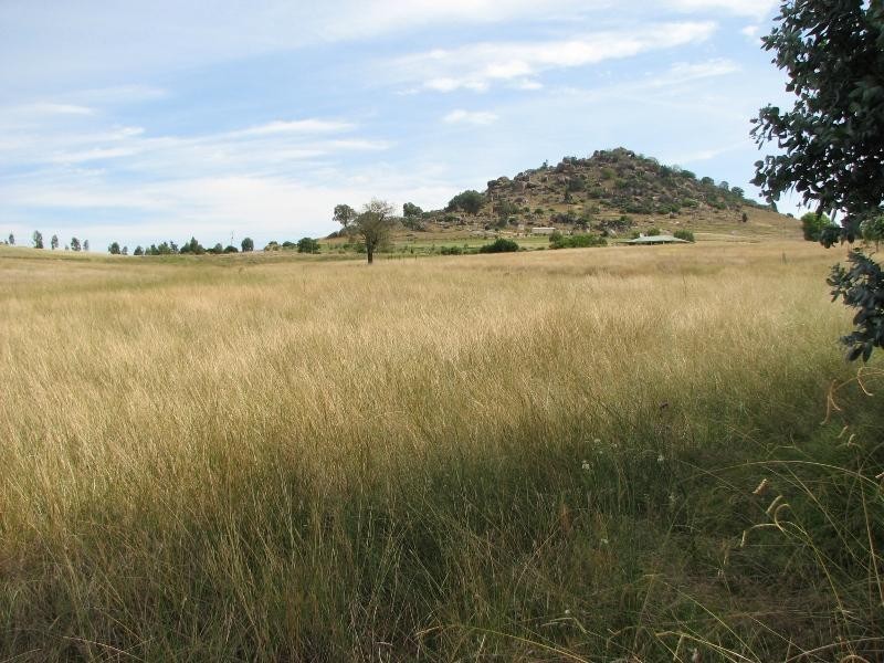 Lot 1 Peter Whitty Road, Darbys Falls NSW 2793