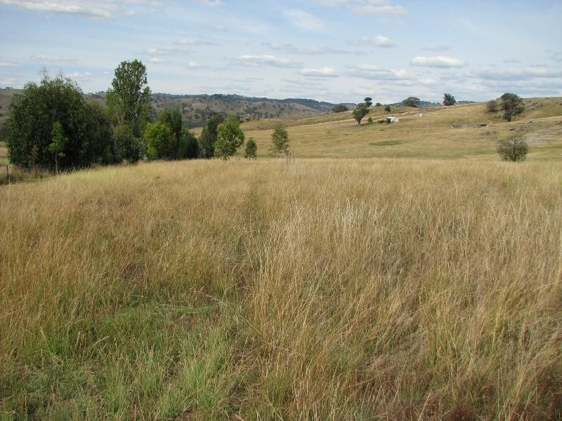 Lot 1 Peter Whitty Road, Darbys Falls NSW 2793