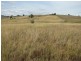 Lot 1 Peter Whitty Road, Darbys Falls NSW 2793