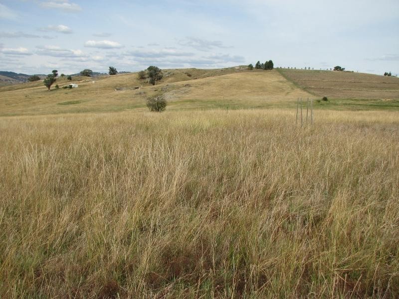 Lot 1 Peter Whitty Road, Darbys Falls NSW 2793
