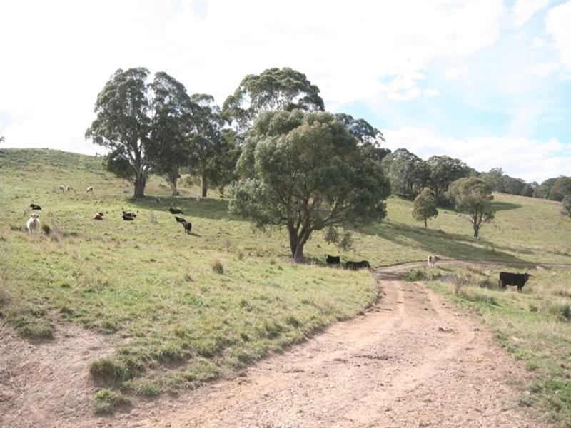 Lot 3 Abercrombie Road, Oberon NSW 2787