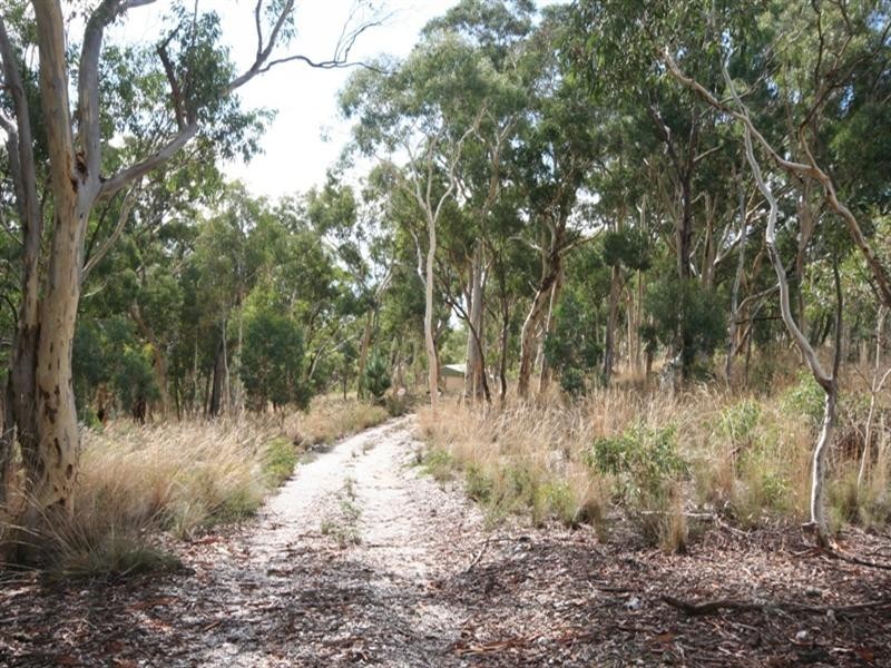 1000 Sewells Creek Road, Essington NSW 2795