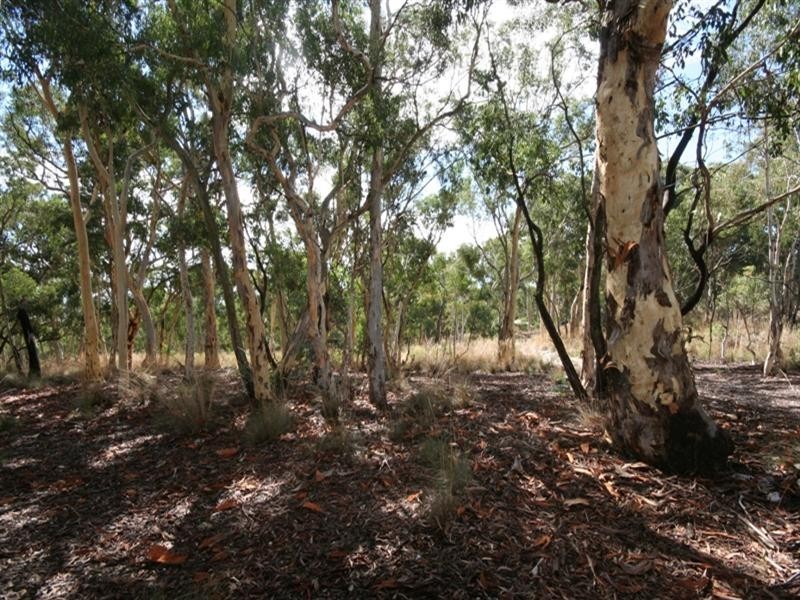 1000 Sewells Creek Road, Essington NSW 2795