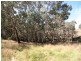 1000 Sewells Creek Road, Essington NSW 2795