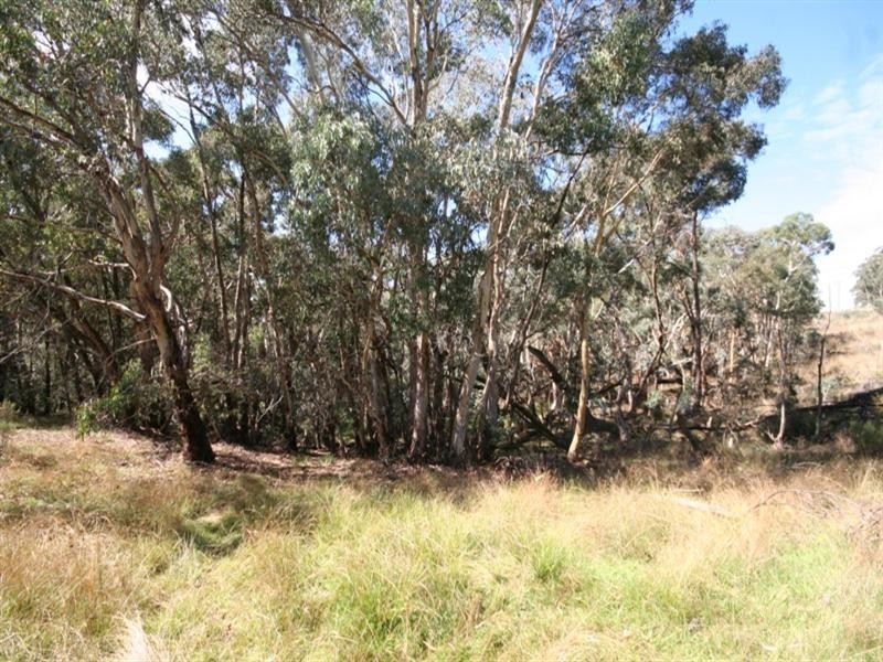 1000 Sewells Creek Road, Essington NSW 2795