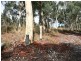 1000 Sewells Creek Road, Essington NSW 2795