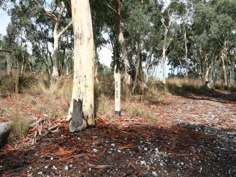 1000 Sewells Creek Road, Essington NSW 2795
