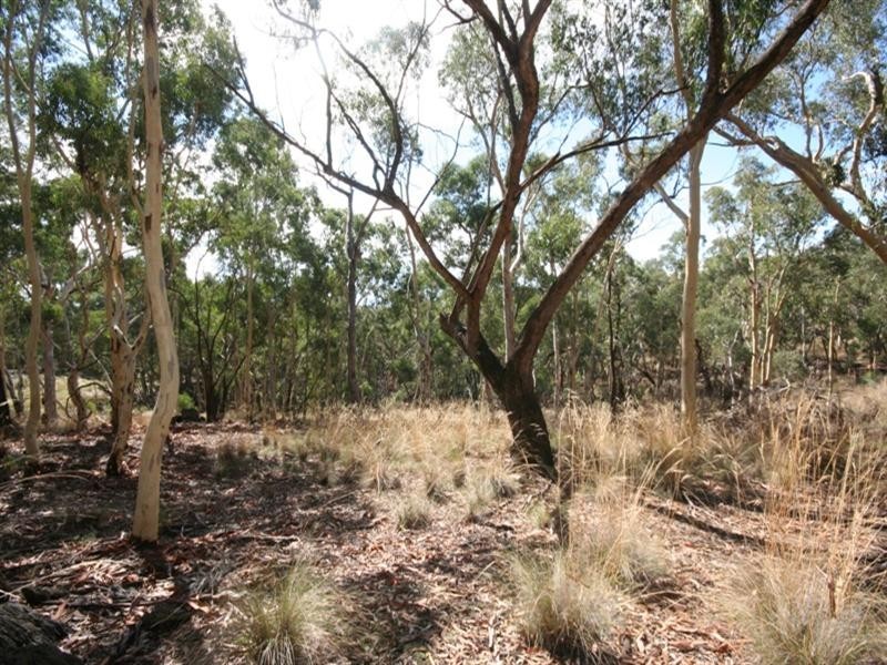 1000 Sewells Creek Road, Essington NSW 2795