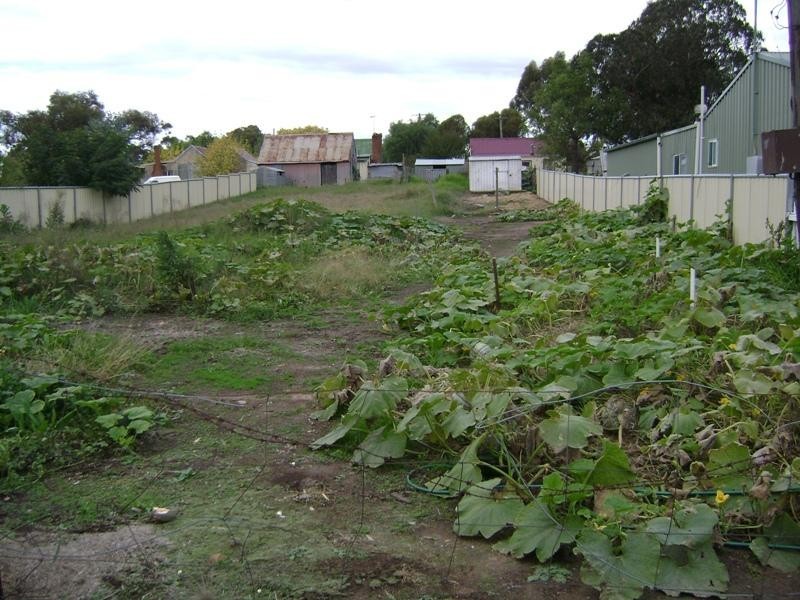 Lot 23 Northcote Street, Greenethorpe NSW 2809