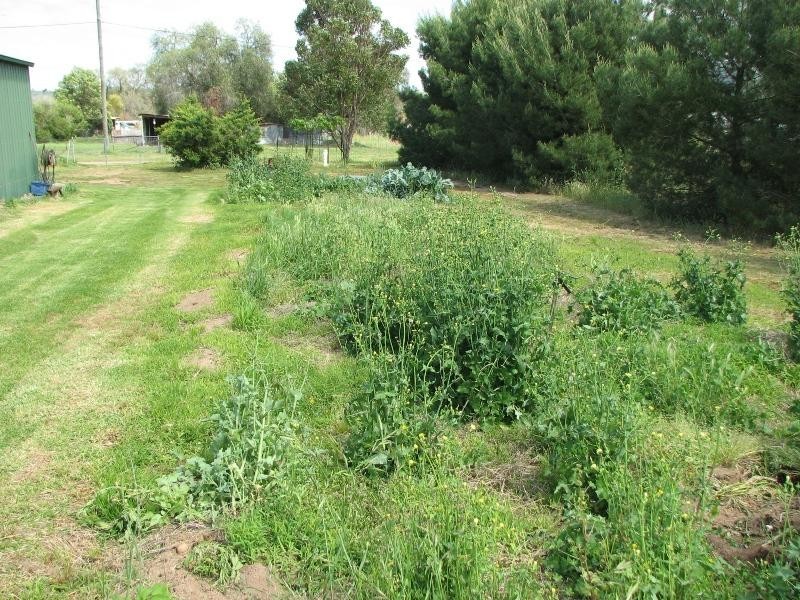 22 – 25 Brundah Street, Koorawatha NSW 2807