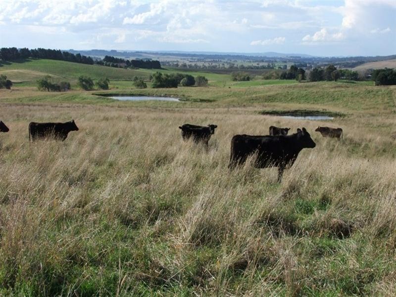 154 Louden Shand Road, Bathurst NSW 2795