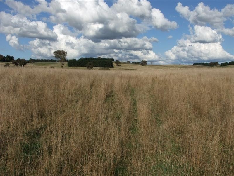 154 Louden Shand Road, Bathurst NSW 2795