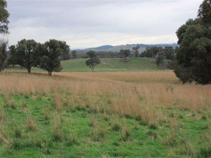 187 Louden Shand Road, Bathurst NSW 2795