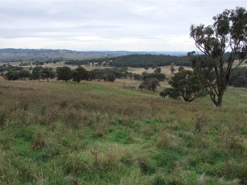 187 Louden Shand Road, Bathurst NSW 2795