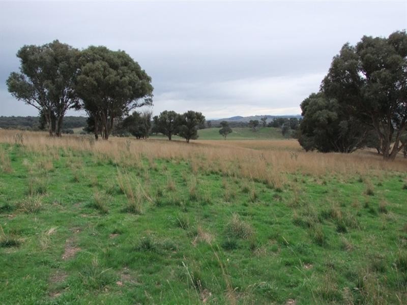 187 Louden Shand Road, Bathurst NSW 2795